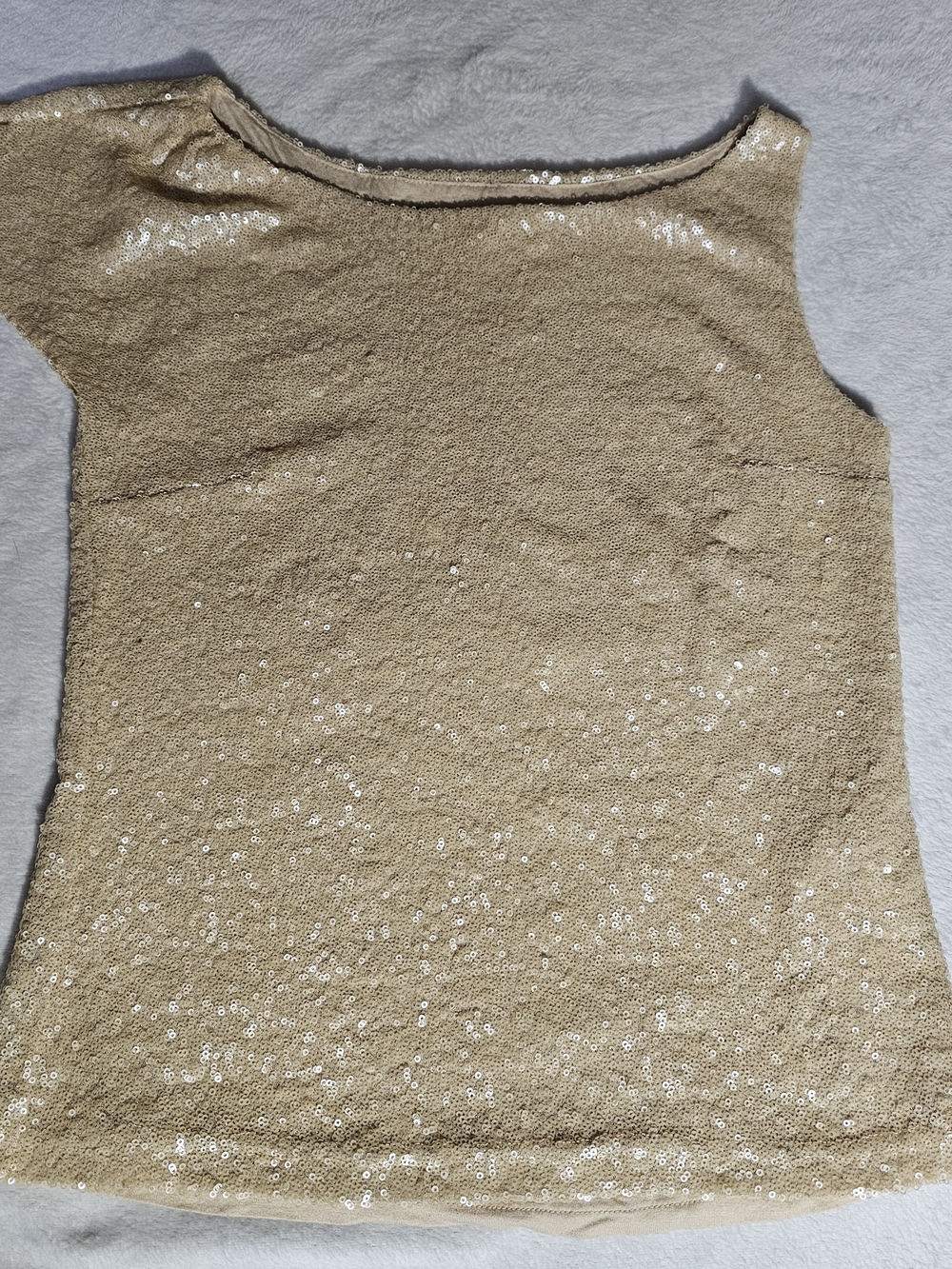 Zara Woman Sequin Sleeveless Top - Champagne
